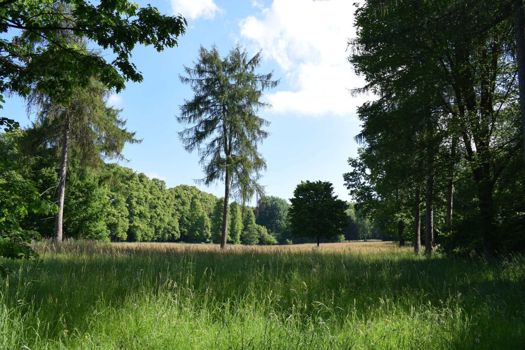 WALD WIRKT WUNDER - Achtsamkeit für Kinder und Eltern